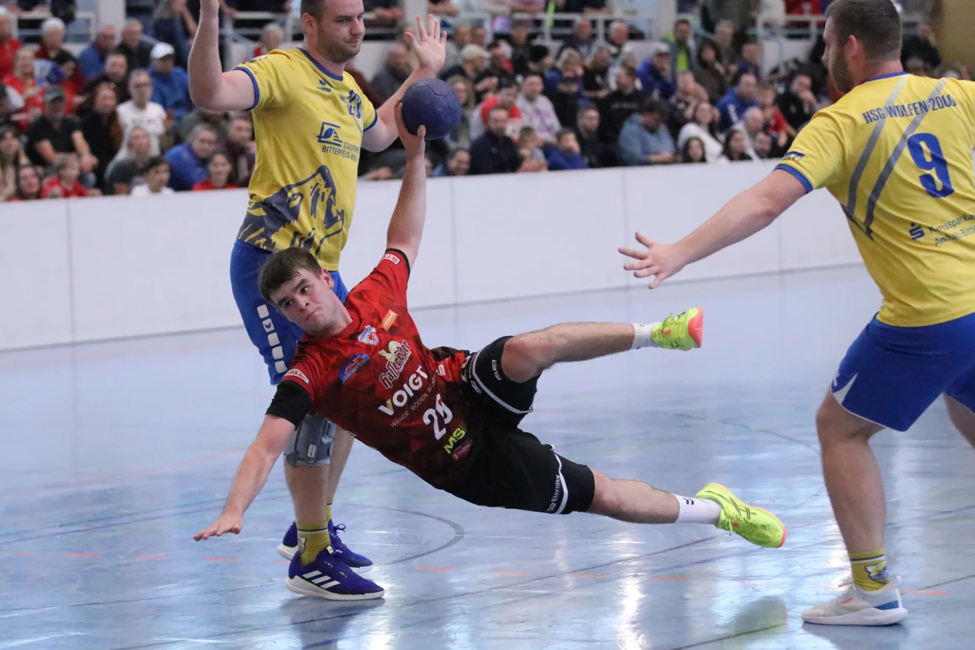 Bild: Handball beim HV Wernigerode