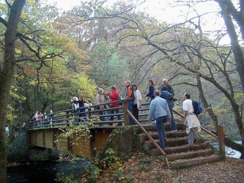 Foto der Galerie: AH-Tour - 2007 nach Widdau