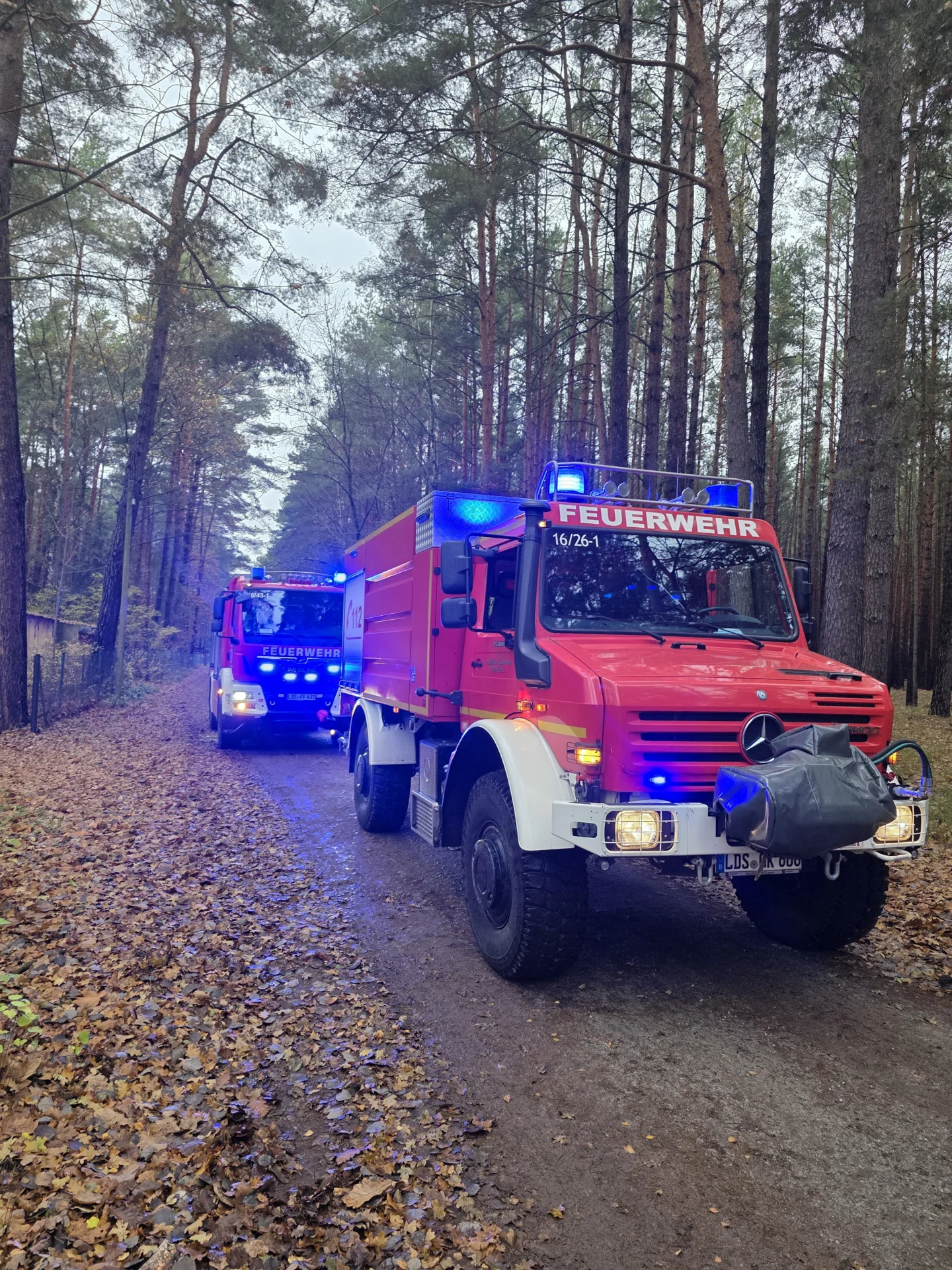 Foto der Galerie: Einsatz Nr.91 H:Klein