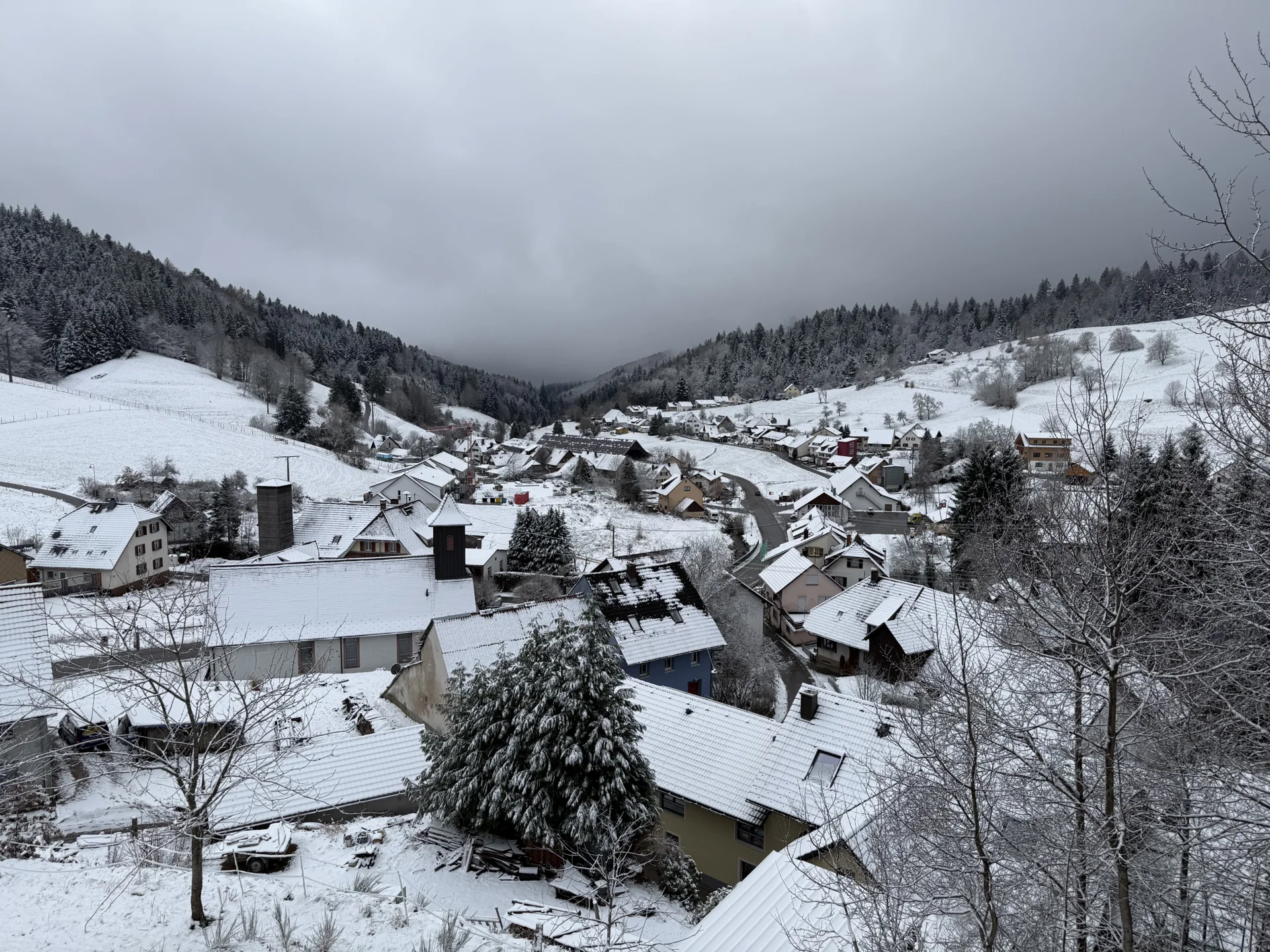 Marzell im Schnee  (Bild vergr&ouml;&szlig;ern)