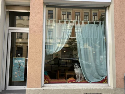 Vorschaubild der Galerie