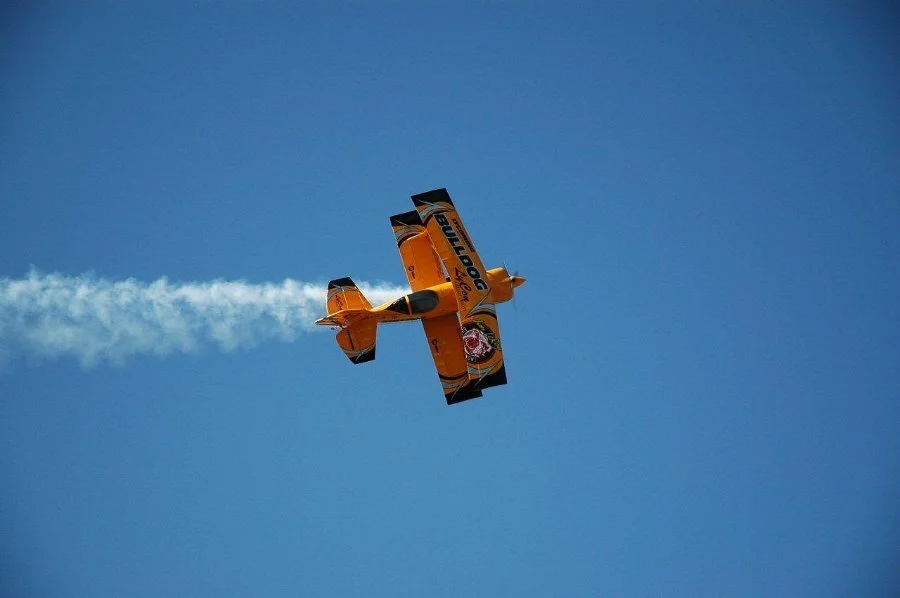 Zur Galerie: Bulldog Challenger (Andreas Baumeister)