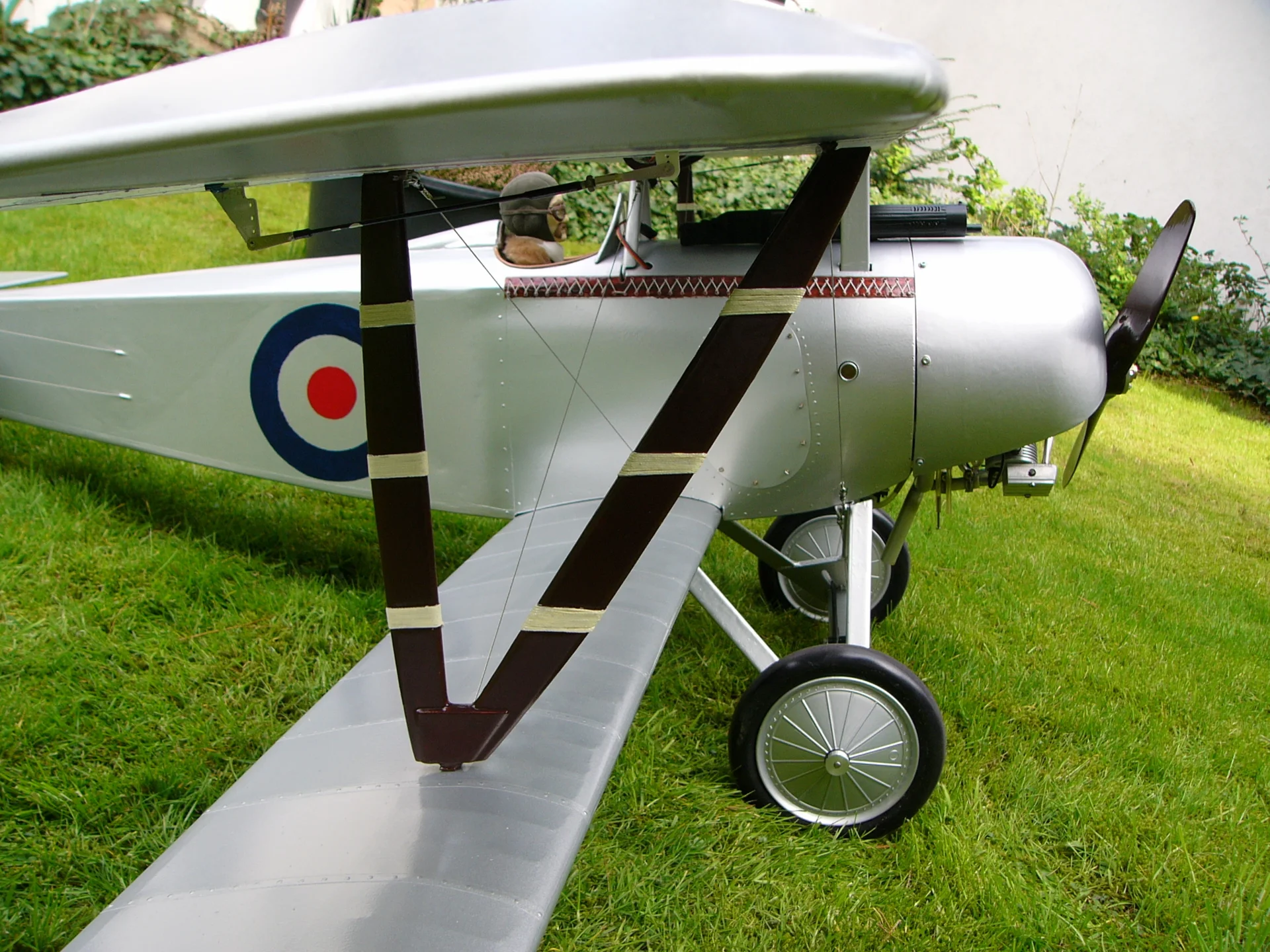 Foto der Galerie: Nieuport 17 (Klaus Dreyer)