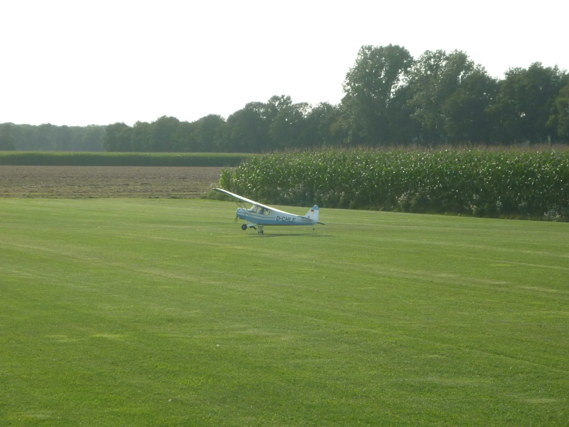 Foto der Galerie: Jungfernflug einer Piper PA-18 (Heinz Depel +)