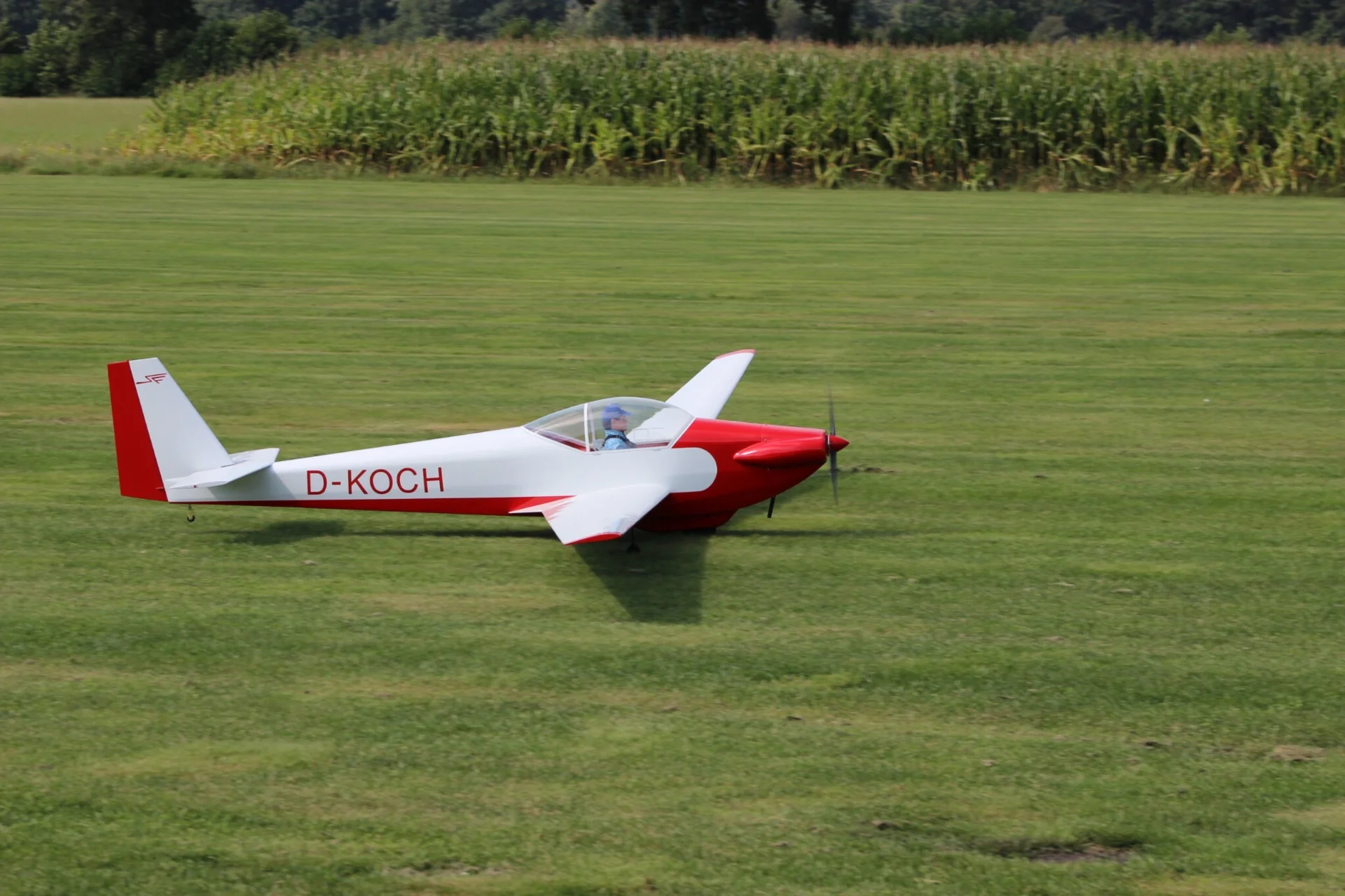 Zur Galerie: Eigenbau Scheibe-Falke SF 33 (konstruiert und gebaut von Heinz Espeter)