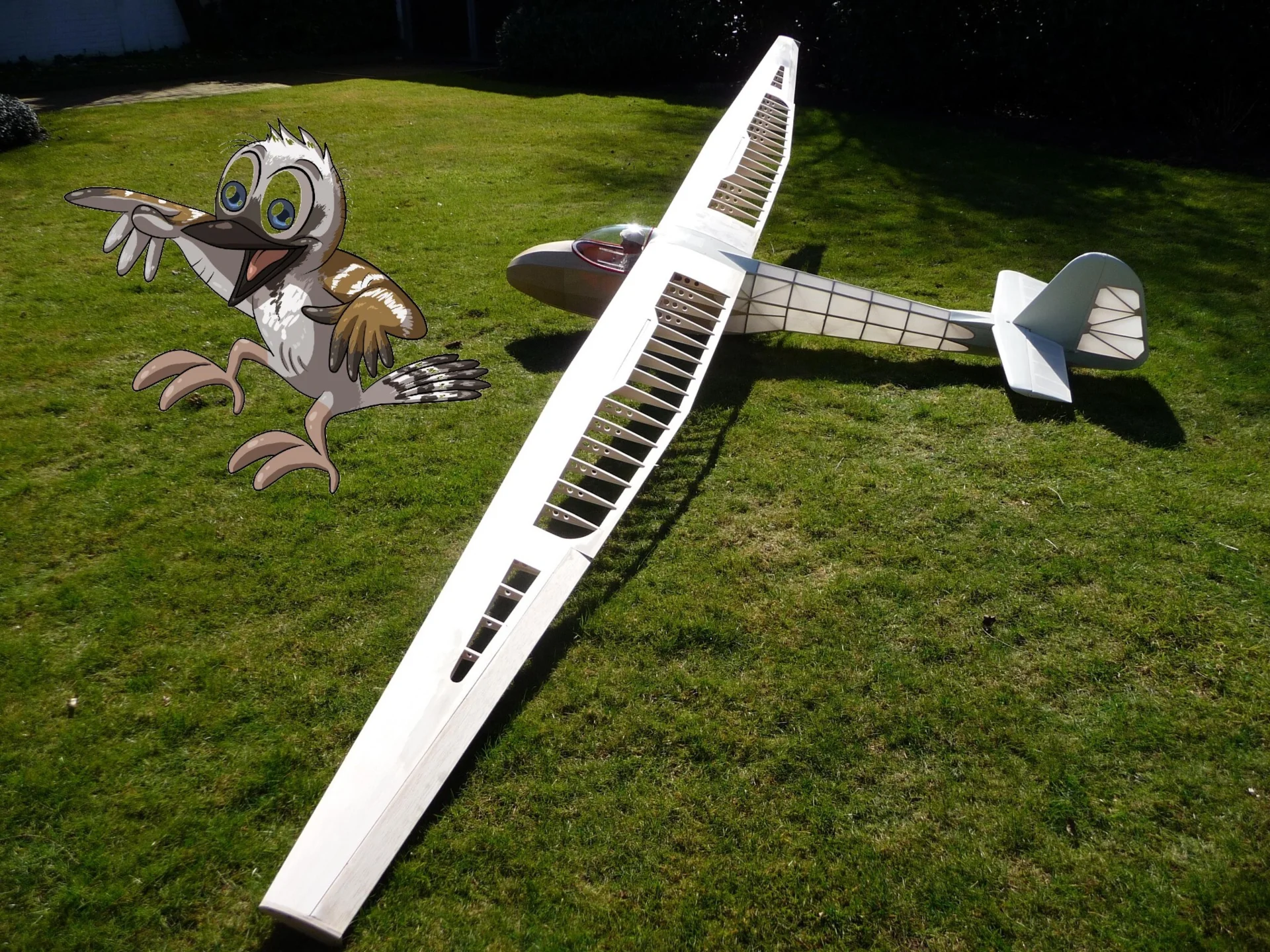 Zur Galerie: L-Spatz-55 (Jakob Hall)