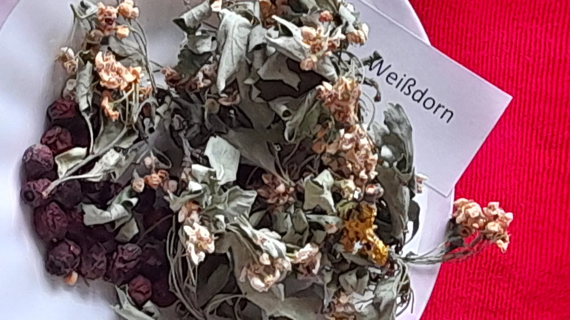 Foto der Galerie: Chinesische Phytotherapie