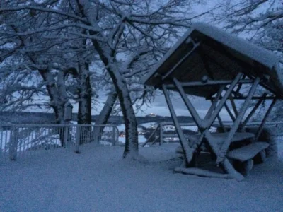 Vorschaubild: Futterraufe auf der Bastei im WInter