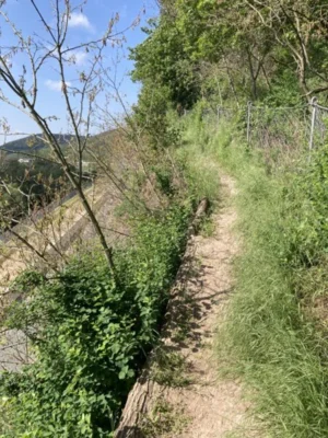 Vorschaubild: Nur für Schwindelfreie