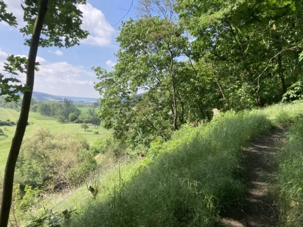 Bild: Blick Richtung Kahla
