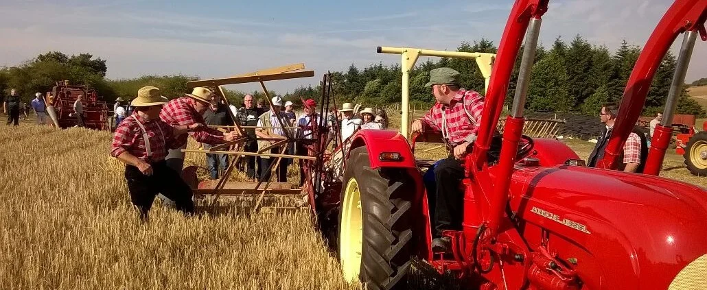 Bild: Feldtag 2019