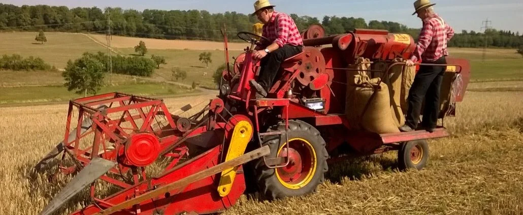 Bild: Feldtag 2019