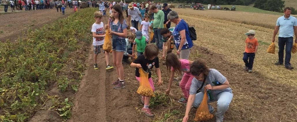 Bild: Feldtag 2019