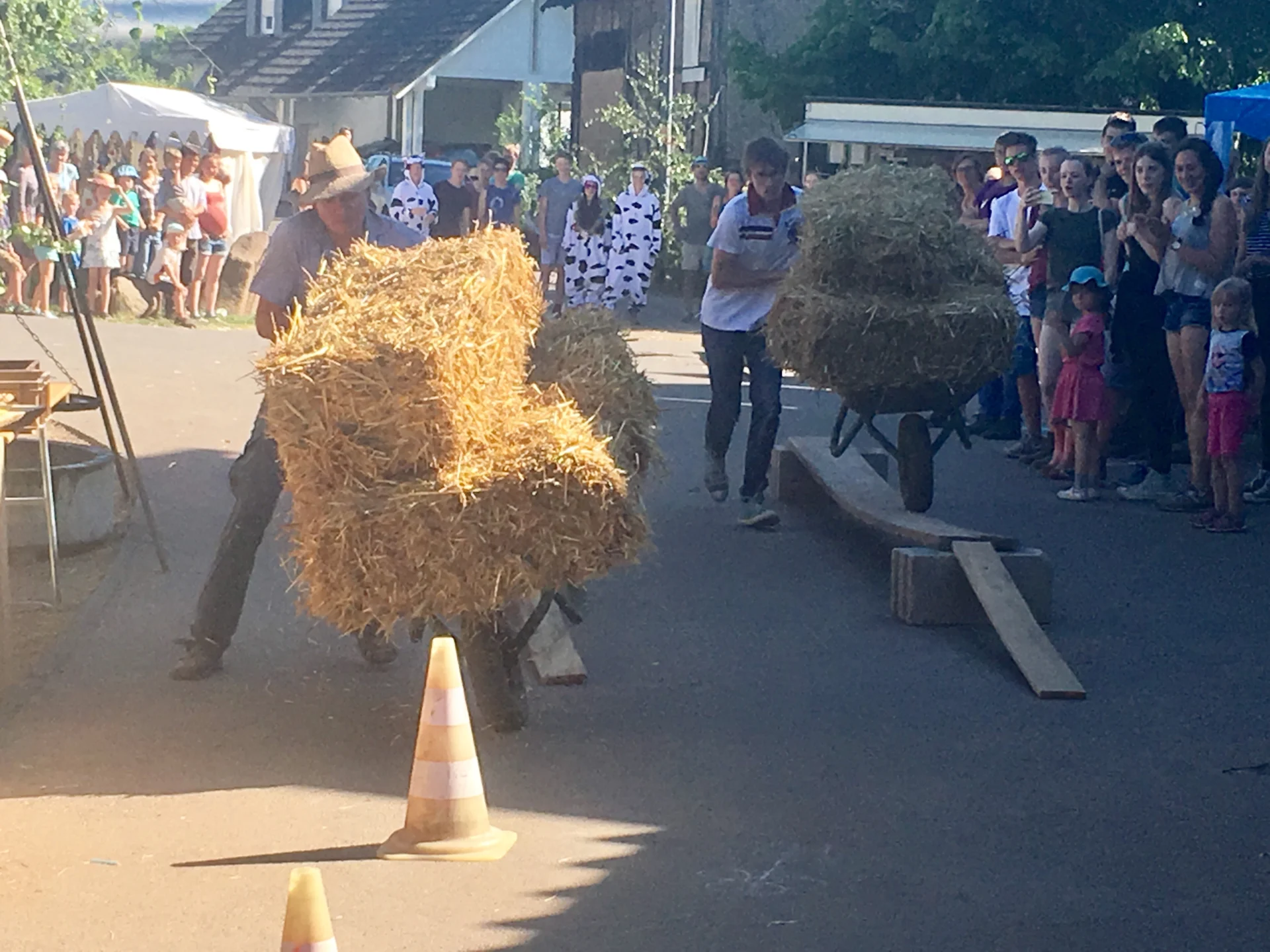 Bild: Schwalbenhoffest