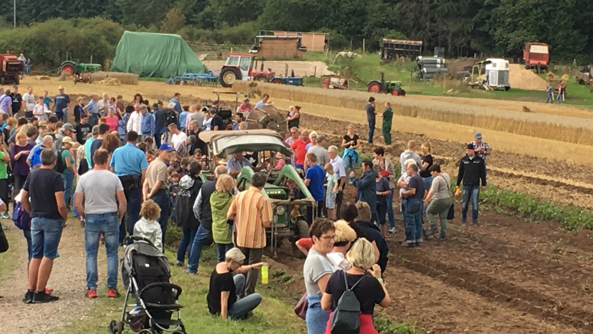 Bild: Feldtag 2019