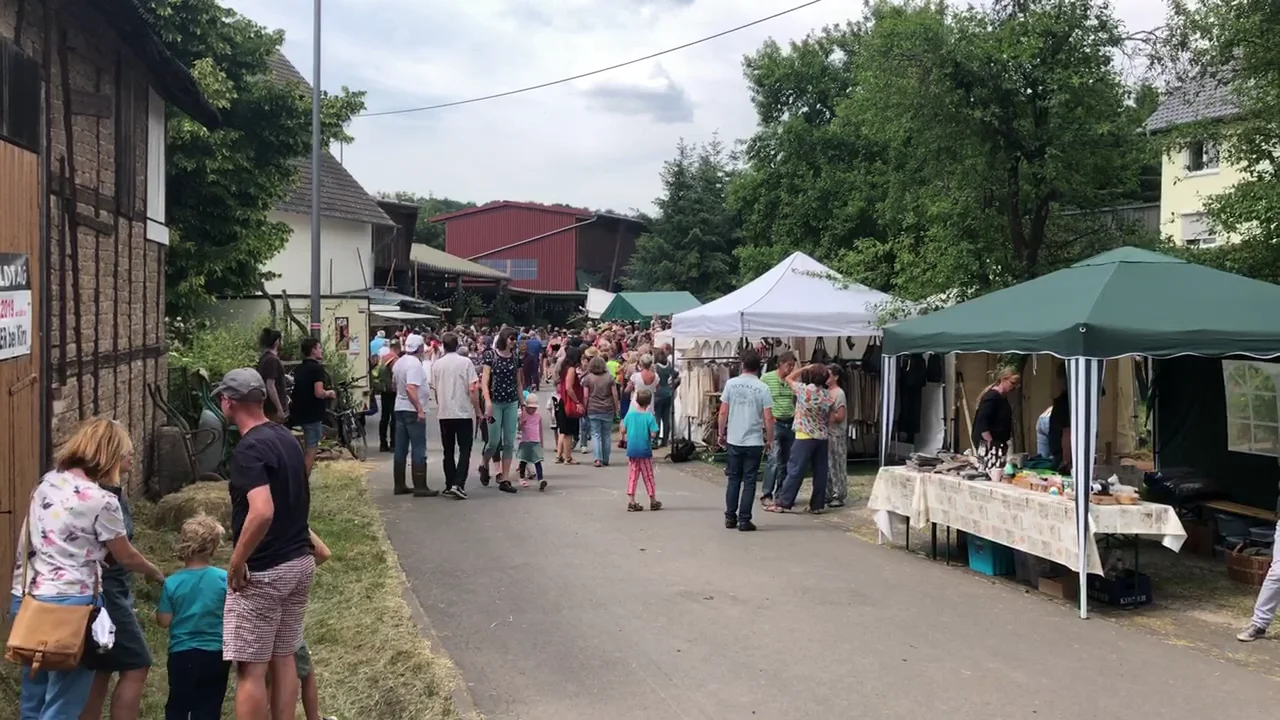 Bild: Schwalbenhoffest