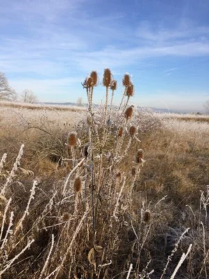 Vorschaubild: Wanderung Burgenblick