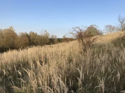 Vorschaubild: Wanderung Burgenblick