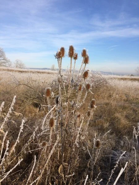 Bild: Wanderung Burgenblick