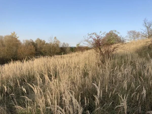 Bild: Wanderung Burgenblick