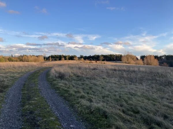 Bild: Weg zum Burgenblick