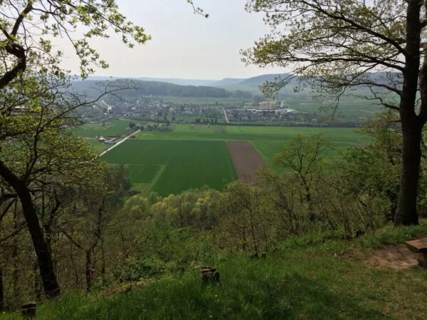 Bild der Galerie