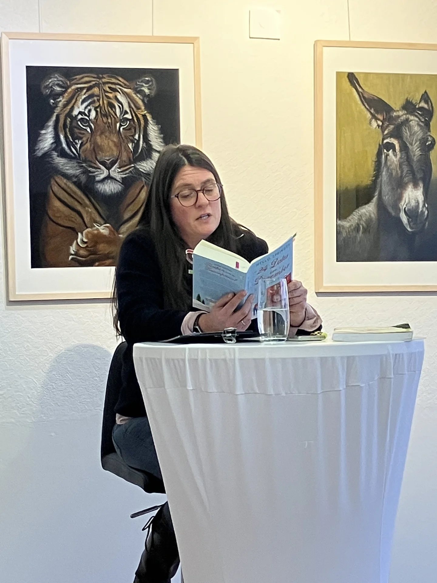 Foto der Galerie: Lesung mit Mello Springer