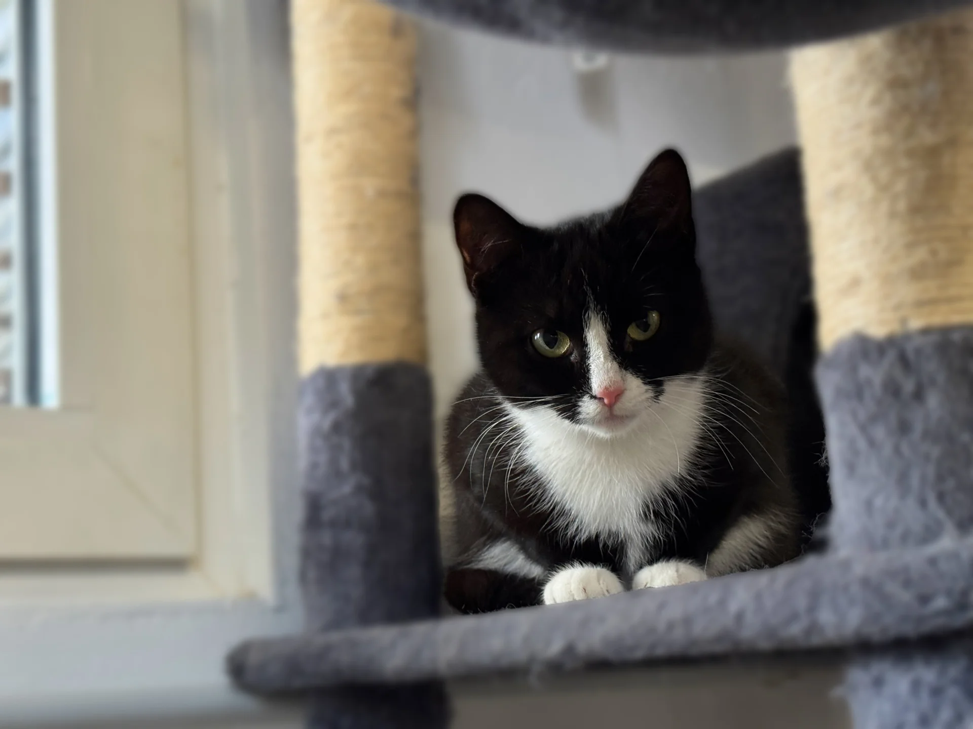 Zur Galerie: Molly