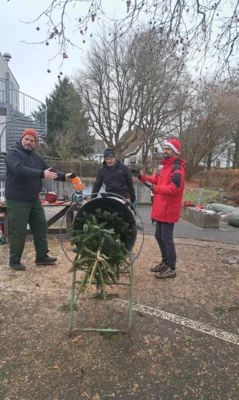 Vorschaubild: Weihnachtsbäume sägen und verpacken