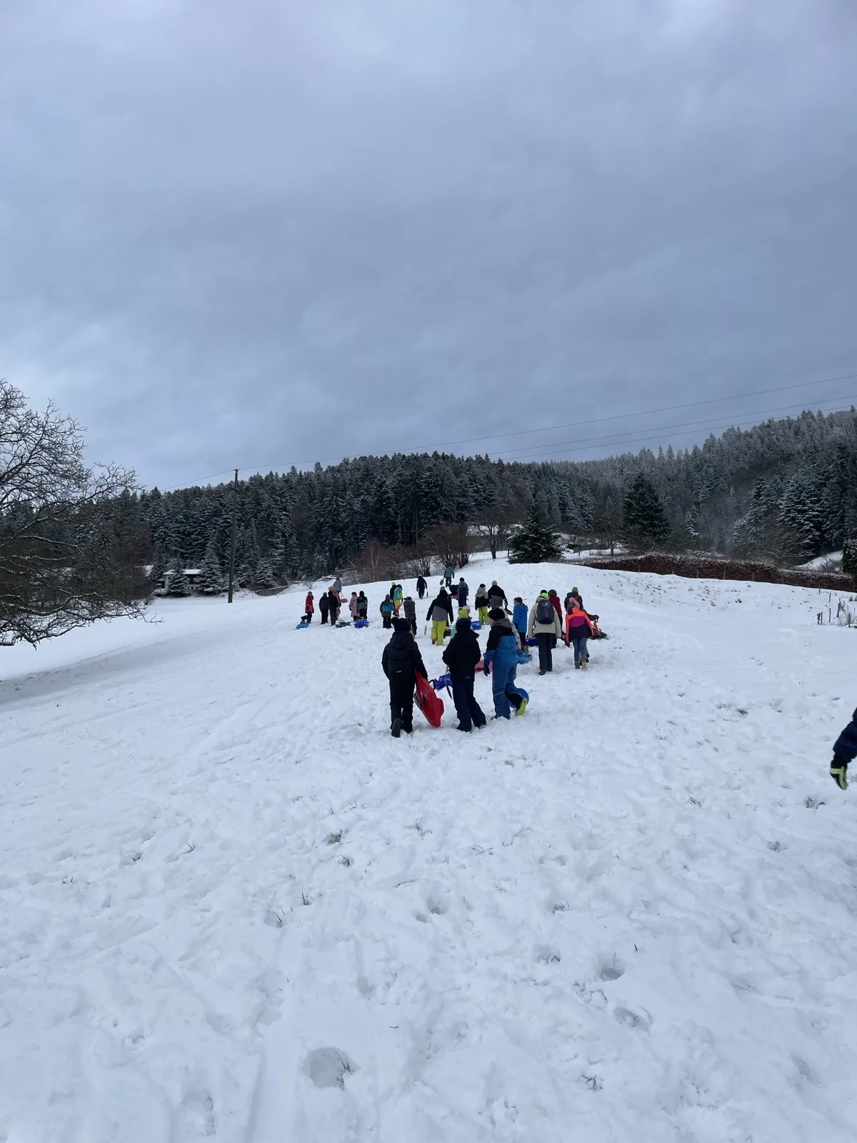 Foto der Galerie: Sportstunde im Schnee