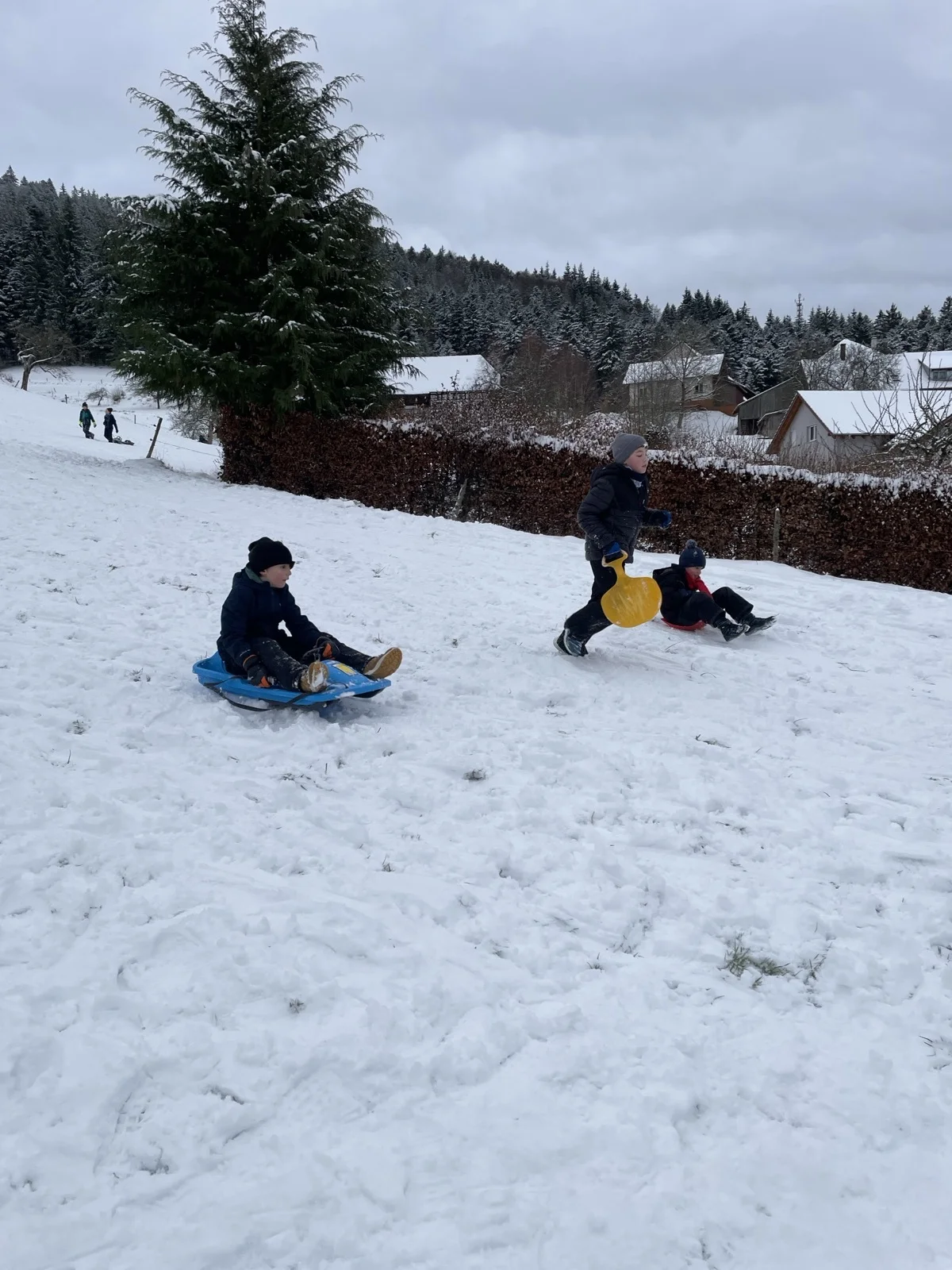 Foto der Galerie: Sportstunde im Schnee