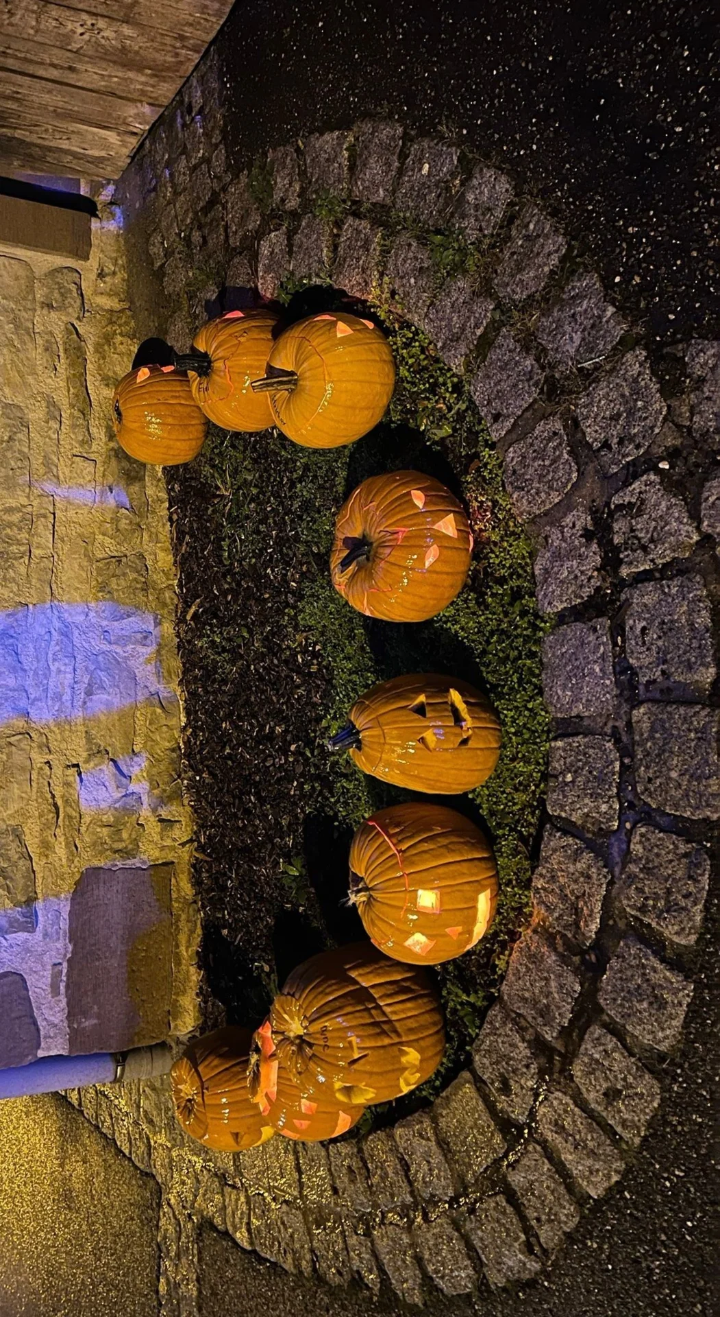 Zur Galerie: Laternenfest