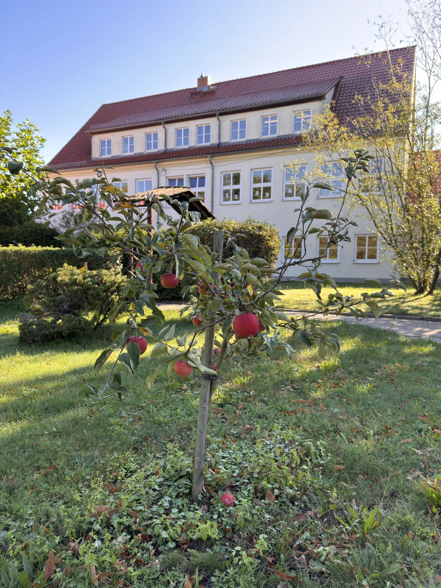 Bild der Galerie