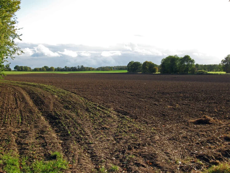Acker  (Bild vergr&ouml;&szlig;ern)