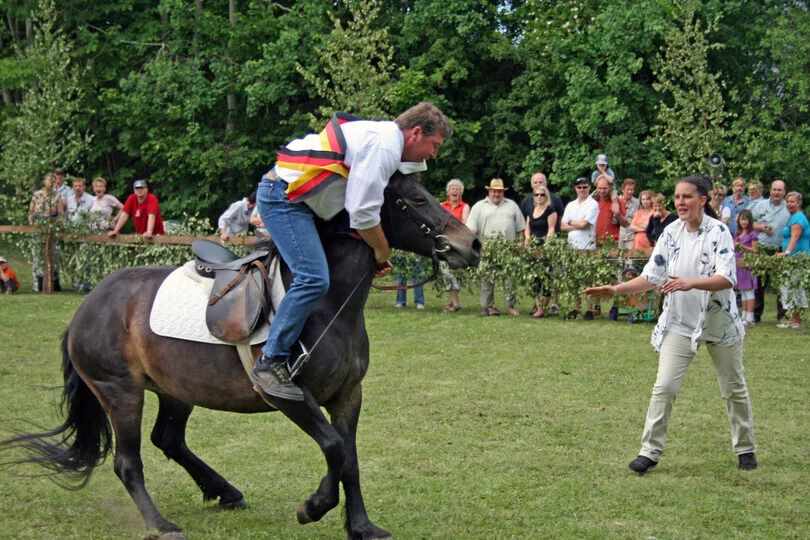 Ringreiten 2009  (Bild vergr&ouml;&szlig;ern)