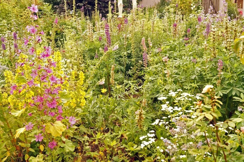 Sommerblumen  (Bild vergr&ouml;&szlig;ern)