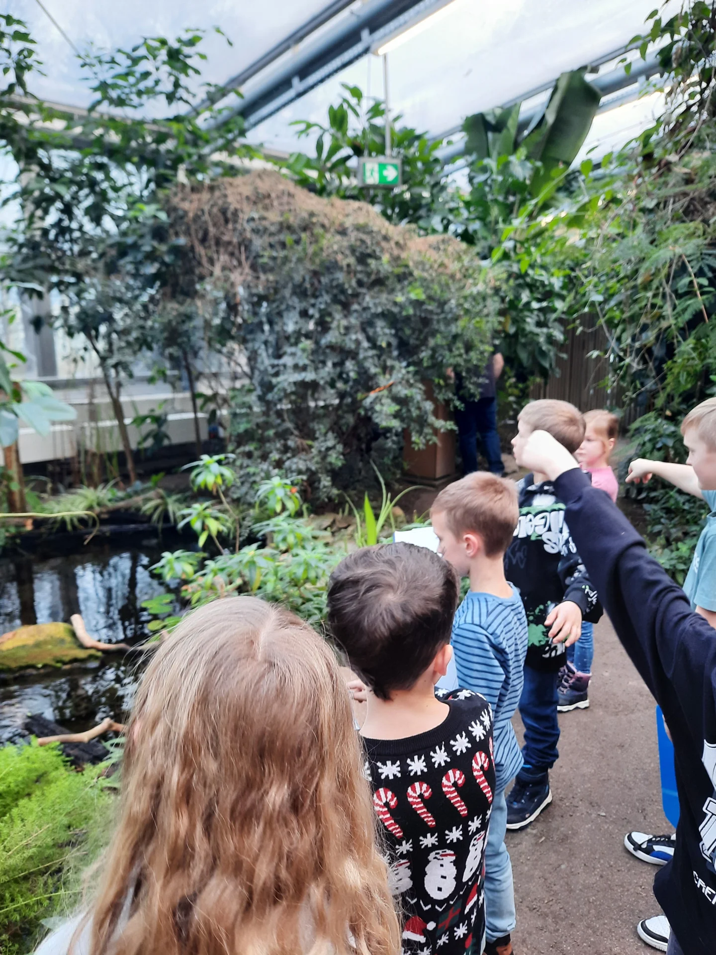 Foto der Galerie: Bei der Botanica im Schmetterlingshaus
