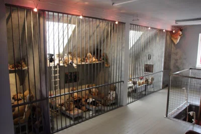 Vorschaubild der Galerie