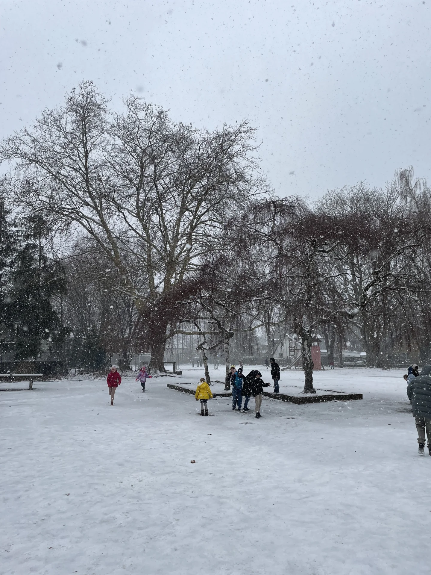 Foto der Galerie: Winterwunderland