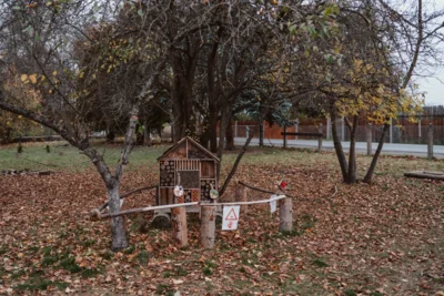 Vorschaubild: Naturgarten