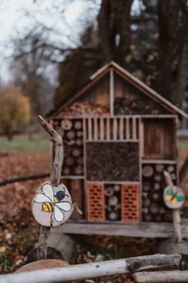 Vorschaubild: Naturgarten