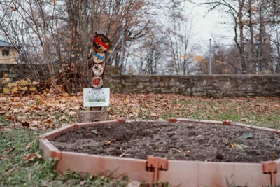 Vorschaubild: Naturgarten