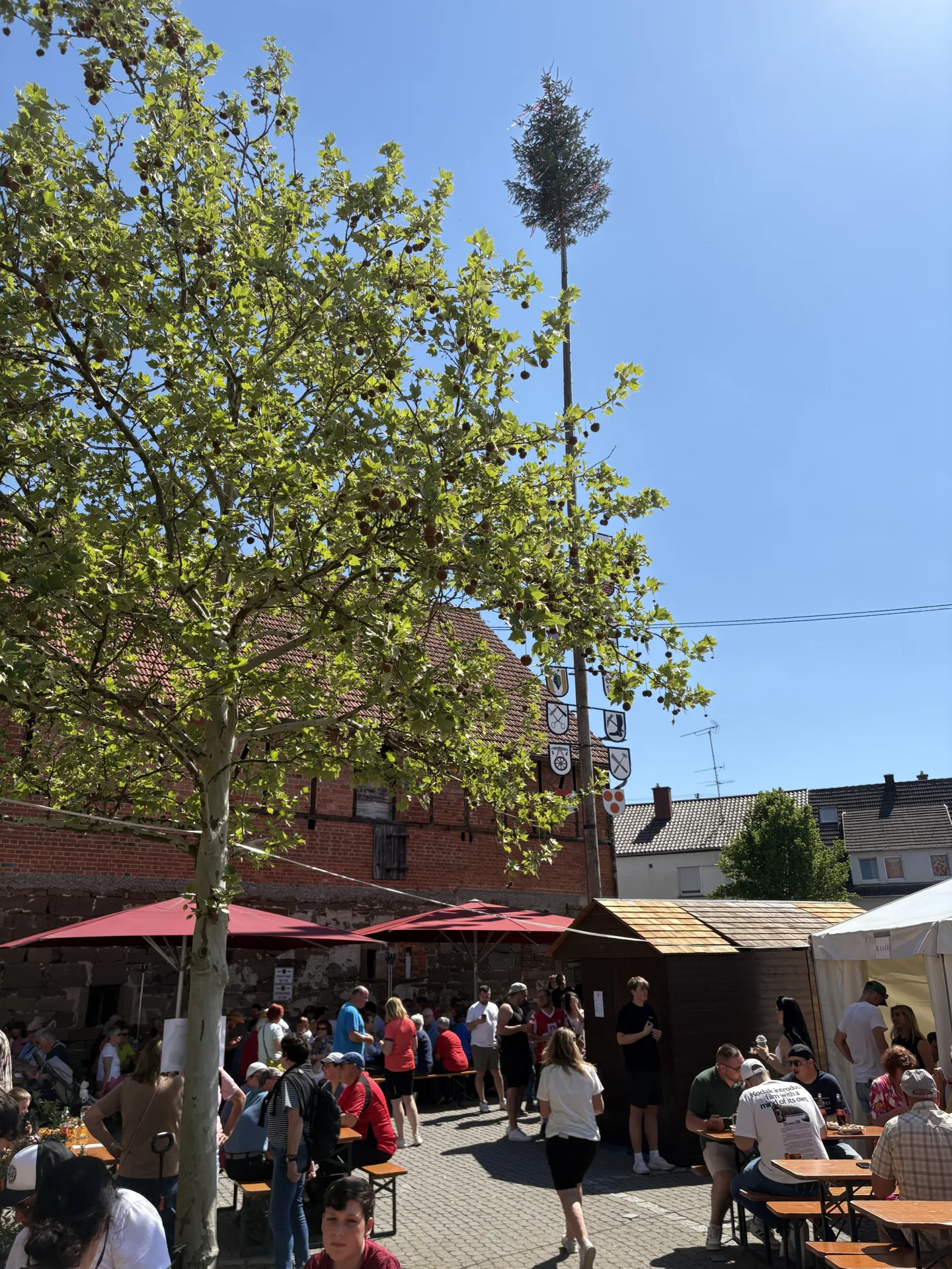 Foto der Galerie: Maifest 2025
