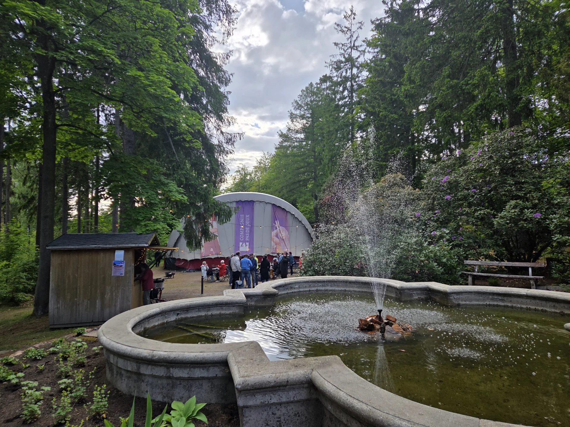 Bild der Galerie