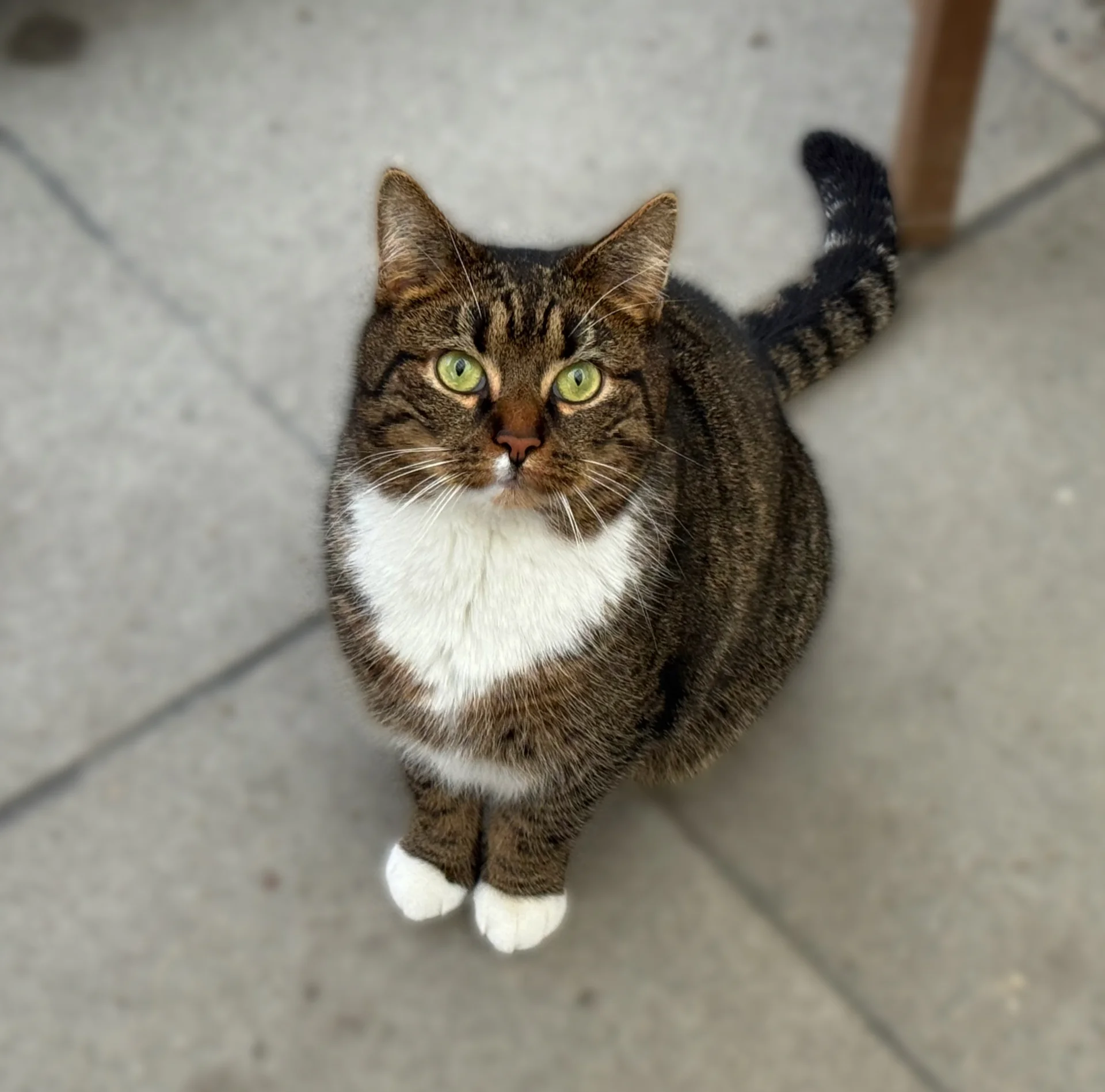 Zur Galerie: Fuzzy