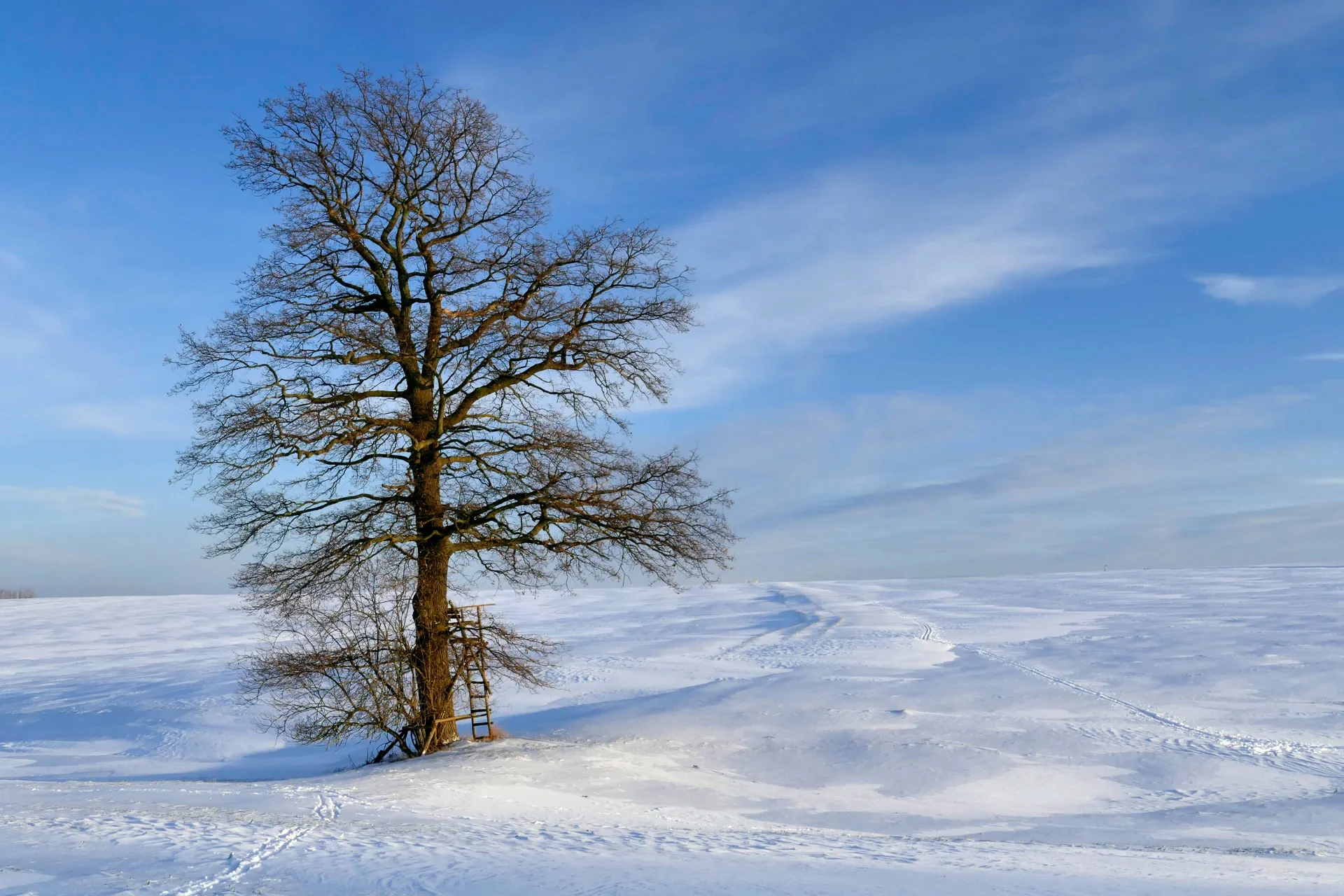 Juergen Thierbach - Winterlandschaft  (Bild vergr&ouml;&szlig;ern)