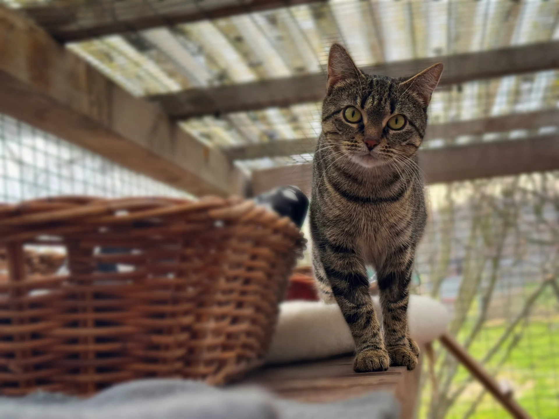 Zur Galerie: Malia