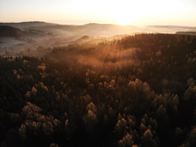 Vorschaubild: Copyright R.Petasch