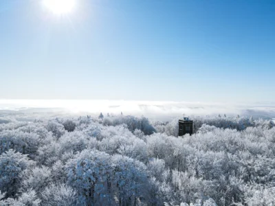 Vorschaubild: Copyright R.Petasch - Valtenberg-Winter