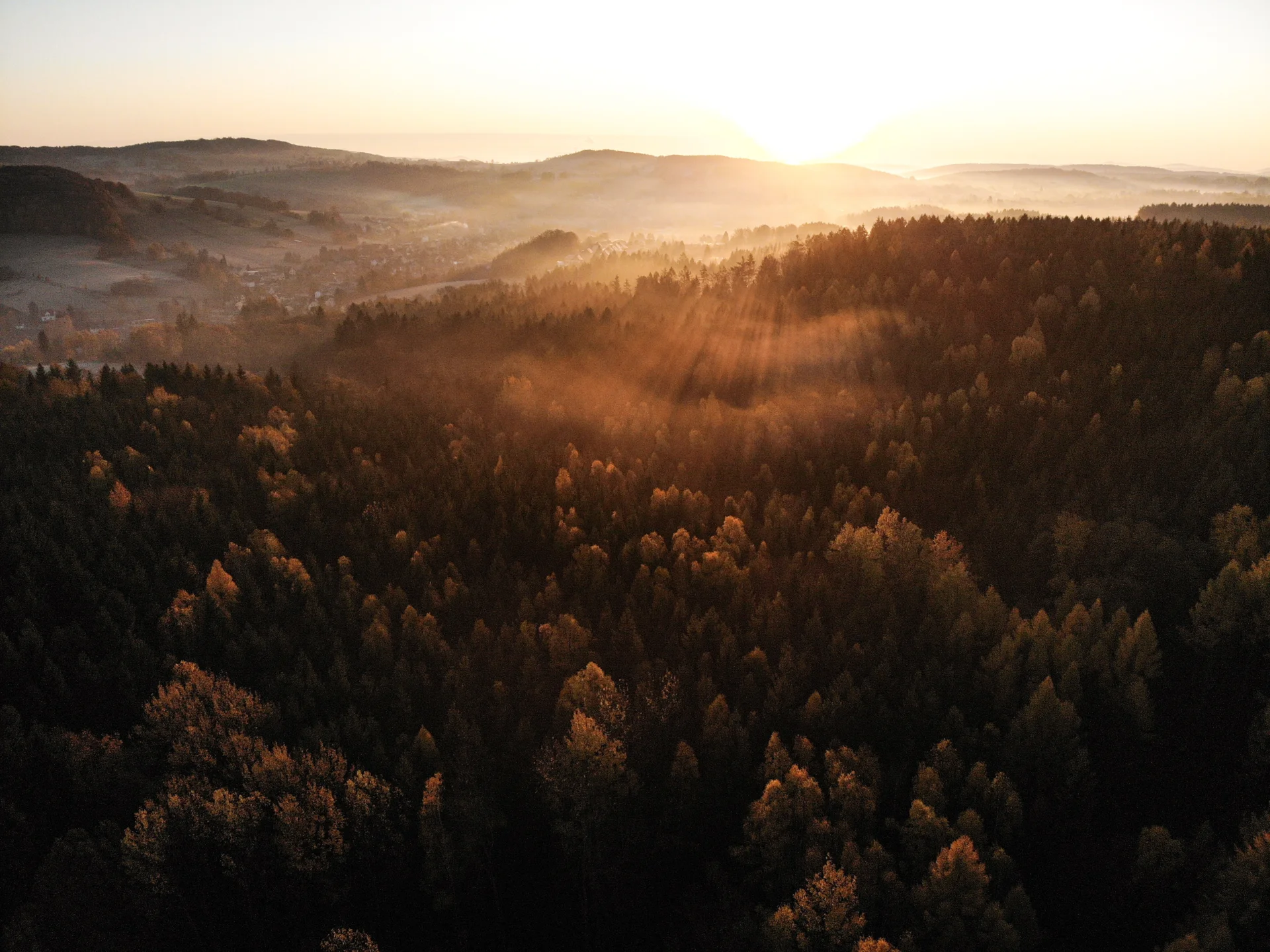 Bild: Copyright R.Petasch